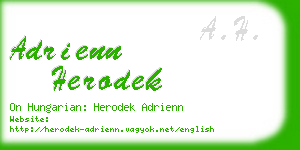 adrienn herodek business card